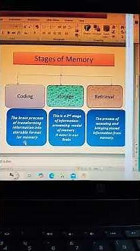 Memory🧠 Working,Stages and Its Types.