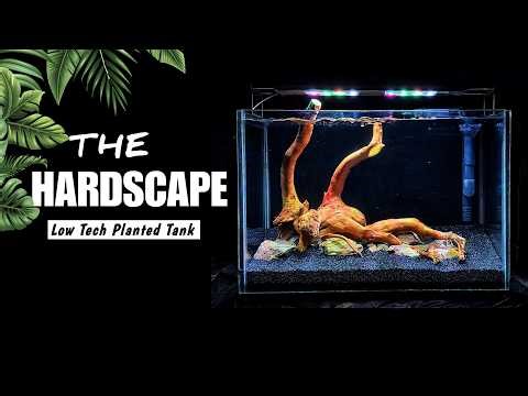 LOW TECH PLANTED TANK (PART 1) // STEP BY STEP HARDSCAPE // SD AQUATICS