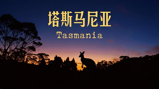离南极最近的澳洲岛屿，竟有这么多神奇动物！塔斯马尼亚旅行日记