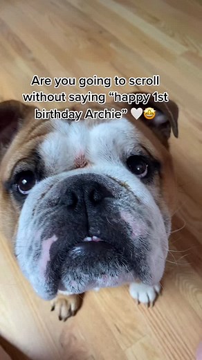 it’s archies birthday!! #GossipGirlHere #fyp #foryou #fypシ #viral #trends #archie #birthday #1 #tiktok #blowthisup