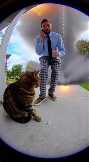 916e72b1 ba30 40d2 8745 c5feebc23fdb