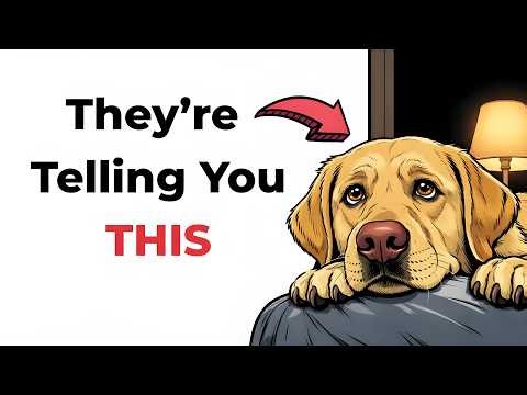 If Your Dog Sleeps At Your Feet, They're Trying to Tell You This!