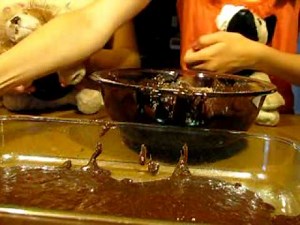 Webkinz Cooking Show