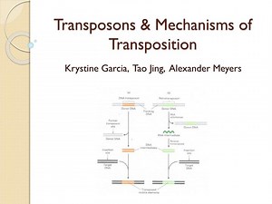 Transposons &amp; Mechanisms of Transposition - SlideServe