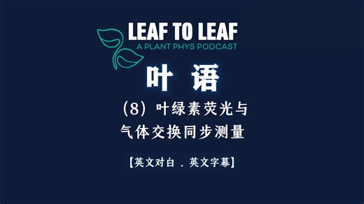 叶绿素荧光与气体交换同步测量 |《叶语》第8集 | LI-6800光合-荧光测量系统 | LI-COR | 北京莱阔生物科技有限公司
