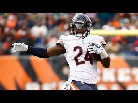 Jordan Howard FULL 2017 Highlights