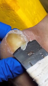 #pedicure | Nail Salon