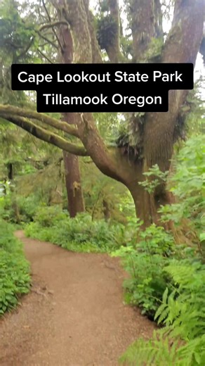 Explore Cape Lookout State Park in Tillamook, Oregon