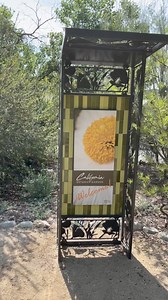 The California Botanic Garden is a haven of native plants and captivating landscapes. As you wander through the garden, you'll encounter diverse ecosystems and themed areas that showcase the beauty of California's flora. The California Native Plant Trail winds through vibrant wildflowers and majestic oak trees, offering an immersive journey into the state's natural heritage. In the Mediterranean Garden, aromatic herbs and colorful succulents evoke the essence of the Mediterranean coast, creating