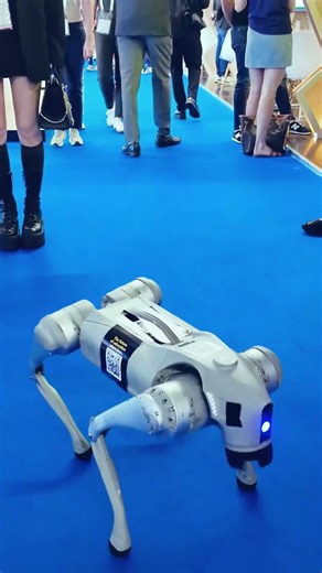 Tiju's Learning at GITEX 2025!