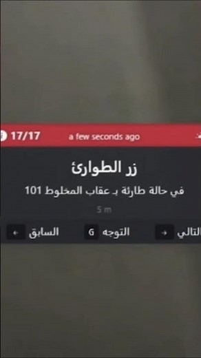 عقاب المخلوط 😂