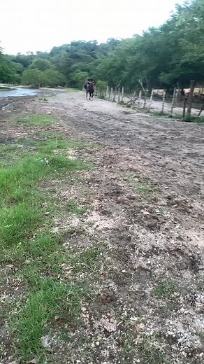 Videos de Erick Abarca (@erickabarca11) con “El Tapatío - Vicente Fernández”