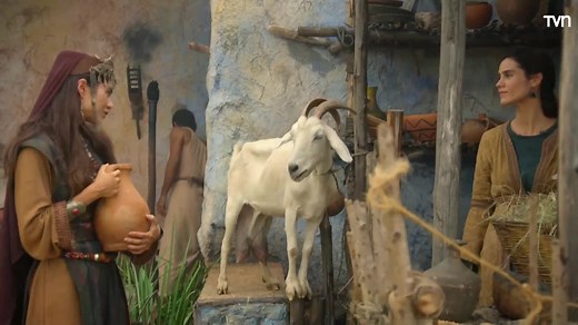 4.8K views · 230 reactions | Génesis Capitulo 16 Español Latino | Enamorado De Dios | Facebook