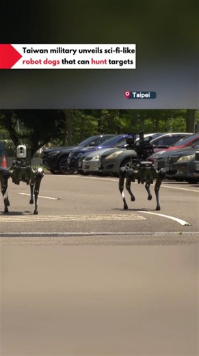 Taiwan military unveils sci-fi-like robot dogs that can hunt targets
