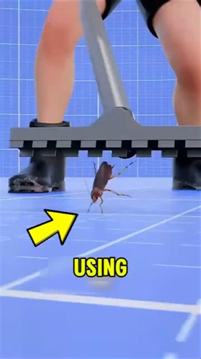 What Happens If You Vacuum a Cockroach 😱