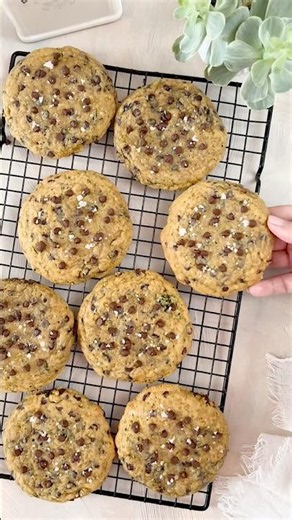 Zucchini Chocolate Chip Cookies 🥒🍫🍪