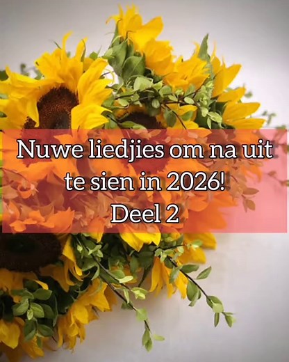 @Afrikaans is Groot @Riaan Benade #Afrikaans #Songs #Sonneblom #Daaiafrikaansemeisie #Afrikaansisgroot