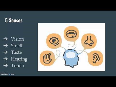 Senses and Sensory Receptors