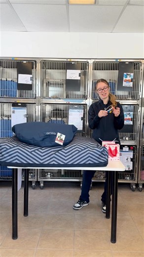 💝 Dévoilement des gagnants - Concours de la Saint-Valentin 💝 Félicitations aux heureux adoptants de : 🐱 Bowie (maintenant nommé Mowgli), qui remportent le lit pour chat d'une valeur de 115 $ 🐶 Dixie (toujours nommée Dixie), qui remportent le lit pour chien d'une valeur de 145 $ Du 4 au 14 février, tous ceux qui adoptaient un chat ou un chien avaient la chance de gagner l'un de ces superbes lits adaptés à leur nouveau compagnon. Nous remercions chaleureusement tous les adoptants qui ont ouver