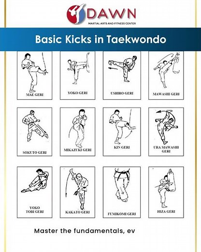 Learn These Taekwondo Kicks Fast!