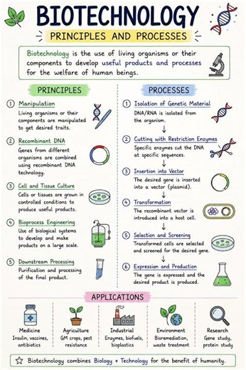 📚 Biotechnology: Principles and Processes – Quick RevisionKey #education #neetbiology