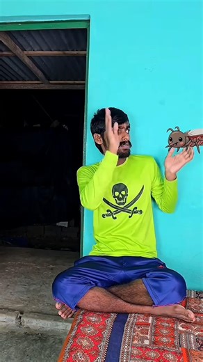 Mosquito Won’t Let Little Brother Sleep! 😂🦟😱