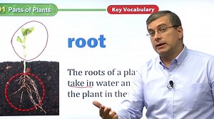 【20集全】经典纯正美音教学，美国中小学教学原版教材精讲，感受外教老师的教学方式！