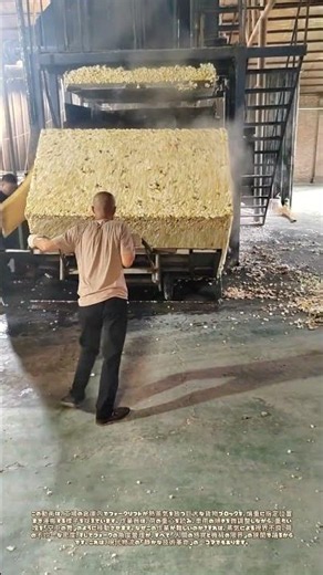 フォークリフトで荷を移す：蒸気の立つ倉庫で働く「重力の逆転術」