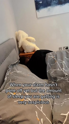 Tips for Snoozing: Enjoy Your Suspicious Sleep