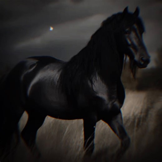 Official CapCut TikTok Account Introduction