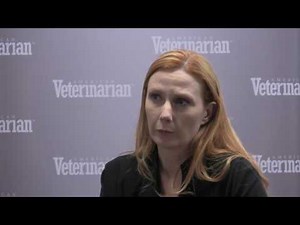 Feline Lymphoma: Do Canines Get the Same Type?