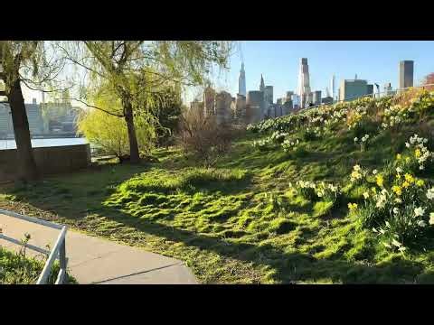 ফুলের পাপড়ি 