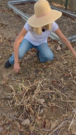 When to harvest ASPARAGUS #shorts