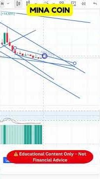 MINA Coin Explained for Curious Viewers!