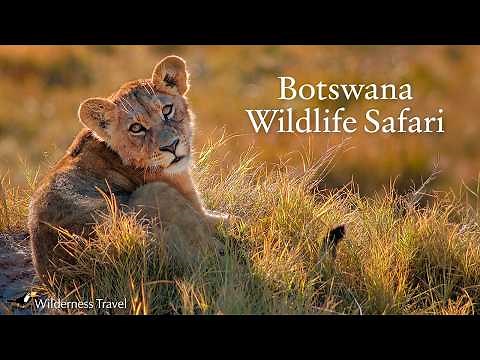 Botswana Wildlife Safari | Wilderness Travel