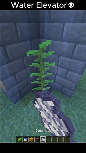 This Water Elevator in Minecraft is SO SMOOTH 😳💧#Minecraft #MinecraftShorts #MinecraftSurvival