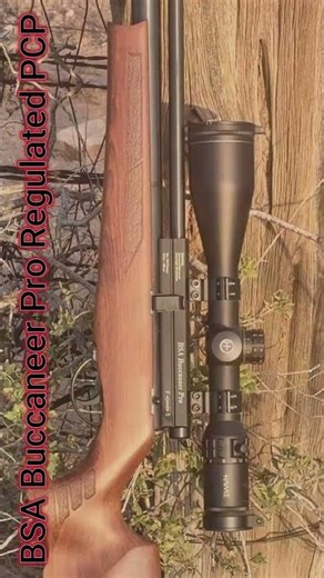 The BSA Buccaneer Pro .177 cal – A Drama Free Airgun! #BSAAirguns #BSAUSA #hawkeoptics ‪@BSA1861‬