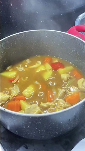 Warm chicken dinner for cold autumn nights ft japanese curry brick