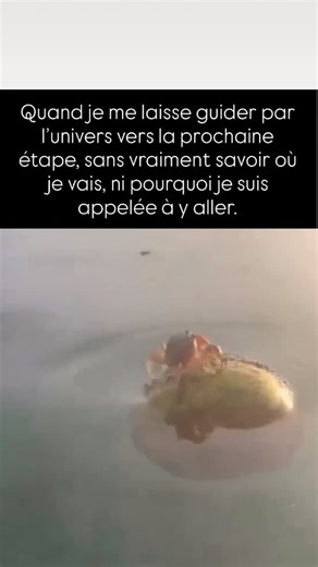 Elipse - Loi d’attraction on Instagram: "Quand tu fais confiance à ton intuition cela peut parfois être perturbant d’aller vers qqch de nouveau, souvent ton mental ne trouve pas tes choix logiques mais ton cœur / ton âme / ton intuition sait que c’est une bonne chose pour toi. Laisse toi guider par ton intuition sait, est le courage de la suivre."