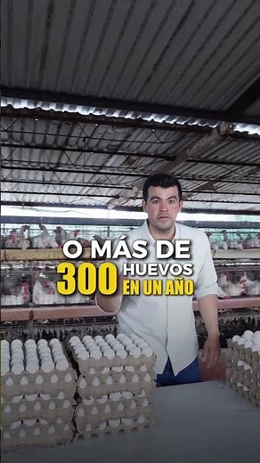 La 🔑 esta en el manejo correcto ✔️