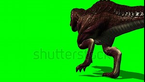 T-rex Dinosaur Walk By Animation Green Stock Footage Video (100% Royalty-free) 5276069 | Shutterstock