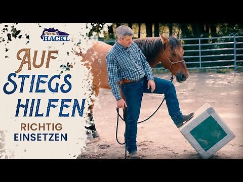 Das kleine 1x1 der Aufstiegshilfe 🐴 Bernd Hackl Horsemanship