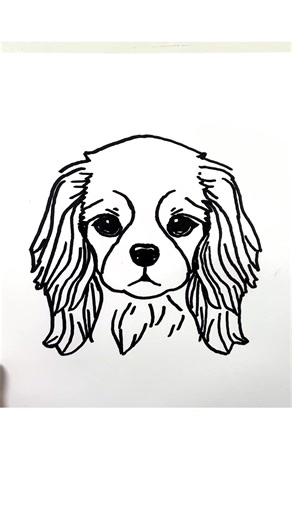 How to Draw a Cavalier King Charles Spaniel Dog #drawing #cavalierkingcharles #dog