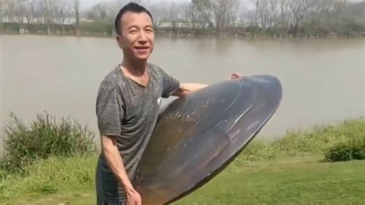 世界上最大的东西千千万，我分享几种你记得点赞！