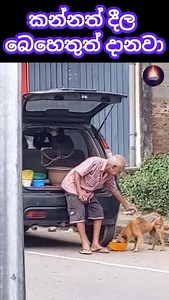 සීයගෙ කරුණාව 🙏