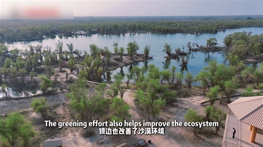 The Taklimakan Desert in northwest China's #Xinjiang Uygur Autonomous Region blends its classic charm with a touch of modern vitality. 🏜In the Taklamakan Desert, a golden icon appears 🍂every autumn — the ancient desert poplar forests, standing strong for 60 million years. Now, the desert is wrapped in a new “fashion statement” — a 2.56-million-square-meter 💚“green scarf.” This living protective belt not only holds back the spreading sand but also attracts various animals, bringing new energy 