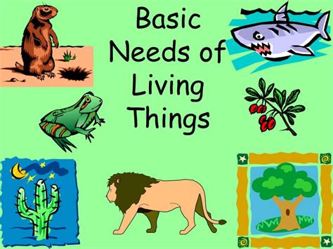 Basic needs of Living