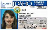 Print Copy Of Driver''s License Photos