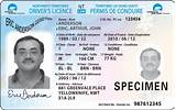 Lost Drivers License What To Do Images