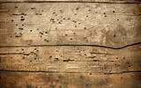 Deck Termites Photos